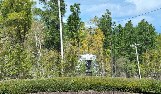 Photo #8 of 113 Pineberry Dr., Georgetown, SC 0.1 acres