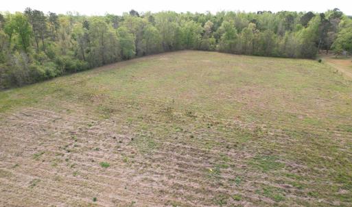 Photo #5 of 13.32 Ac - 1014 Highway 378 Bypass, Lake City, SC 13.3 acres