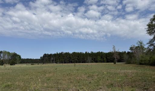 Photo #9 of 13.32 Ac - 1014 Highway 378 Bypass, Lake City, SC 13.3 acres
