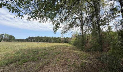 Photo #8 of 13.32 Ac - 1014 Highway 378 Bypass, Lake City, SC 13.3 acres