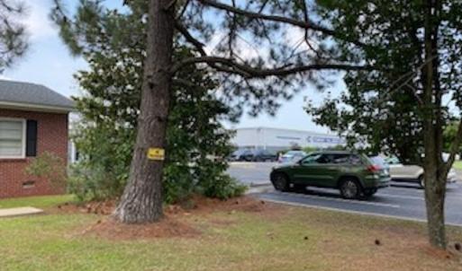 Photo #17 of 2410 Highway 501, Conway, SC 0.4 acres