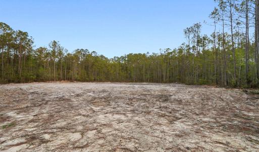 Photo #3 of 835 Indian Hut Rd., Georgetown, SC 5.0 acres