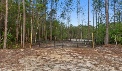 Photo #1 of 835 Indian Hut Rd., Georgetown, SC 5.0 acres