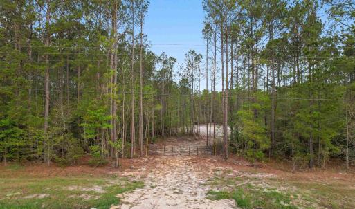 Photo #2 of 835 Indian Hut Rd., Georgetown, SC 5.0 acres