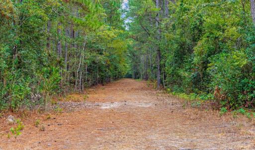 Photo #12 of TBD River Bend Rd., Loris, SC 200.0 acres