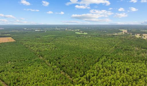 Photo #3 of TBD River Bend Rd., Loris, SC 200.0 acres