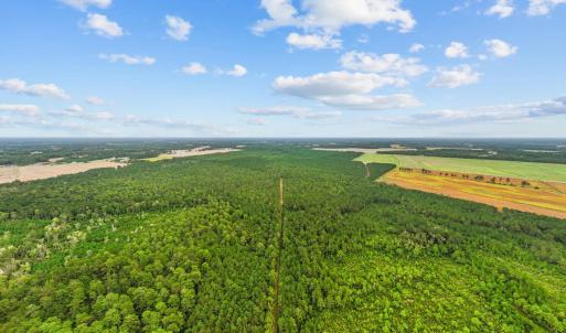 Photo #6 of TBD River Bend Rd., Loris, SC 200.0 acres
