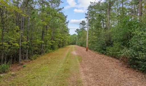 Photo #7 of TBD River Bend Rd., Loris, SC 200.0 acres