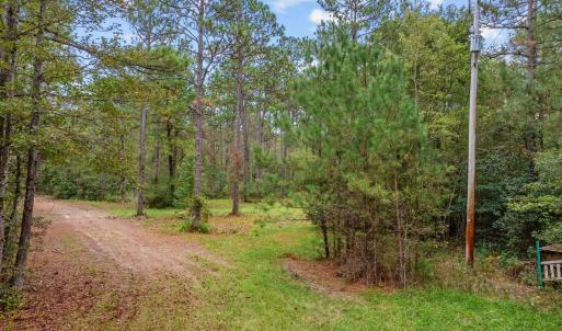 Photo #13 of TBD River Bend Rd., Loris, SC 200.0 acres
