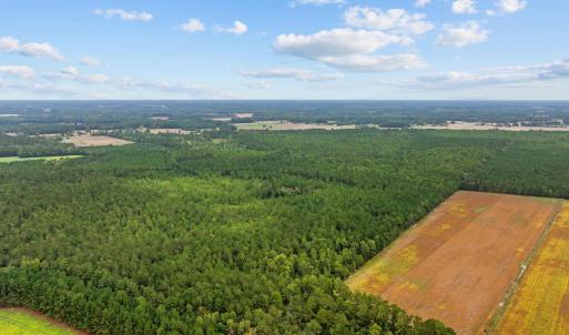 Photo #2 of TBD River Bend Rd., Loris, SC 200.0 acres