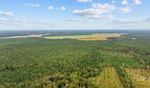 Photo #5 of TBD River Bend Rd., Loris, SC 200.0 acres