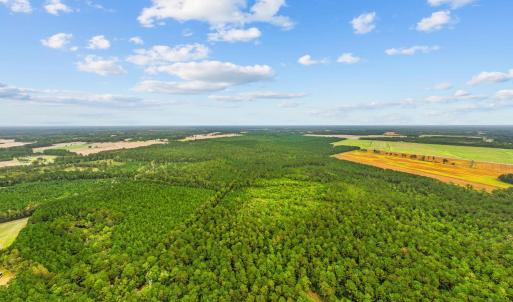 Photo #1 of TBD River Bend Rd., Loris, SC 200.0 acres