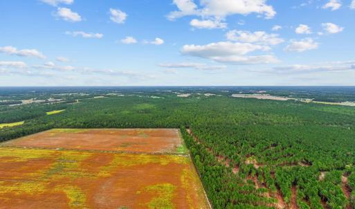 Photo #4 of TBD River Bend Rd., Loris, SC 200.0 acres