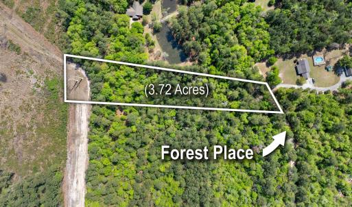 Photo #11 of 4 Forest Pl., Marion, SC 3.6 acres