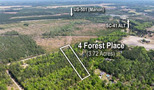 Photo #1 of 4 Forest Pl., Marion, SC 3.6 acres