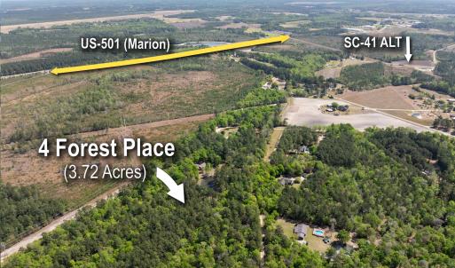 Photo #3 of 4 Forest Pl., Marion, SC 3.6 acres