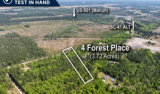 Photo #1 of 4 Forest Pl., Marion, SC 3.6 acres