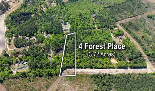 Photo #10 of 4 Forest Pl., Marion, SC 3.6 acres