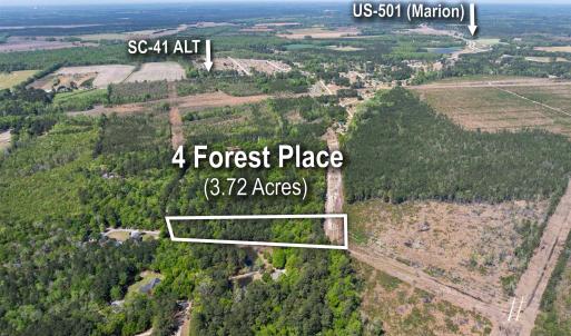 Photo #2 of 4 Forest Pl., Marion, SC 3.6 acres