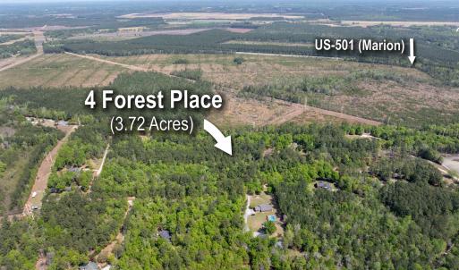 Photo #9 of 4 Forest Pl., Marion, SC 3.6 acres