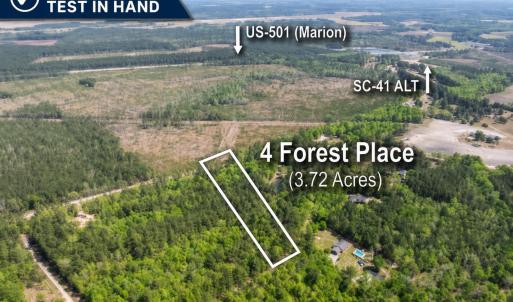 Photo #1 of 4 Forest Pl., Marion, SC 3.6 acres