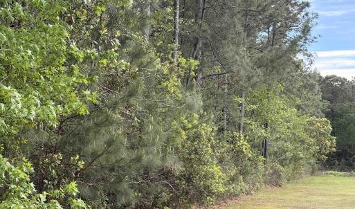 Photo #2 of TBD Gussie Ct., Myrtle Beach, SC 3.3 acres