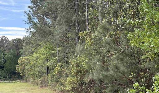 Photo #5 of TBD Gussie Ct., Myrtle Beach, SC 3.3 acres