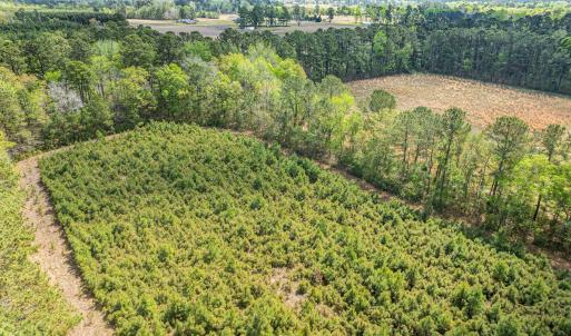 Photo #11 of 6.5 Acres Christine Pl., Hemingway, SC 6.5 acres