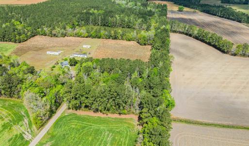 Photo #5 of 6.5 Acres Christine Pl., Hemingway, SC 6.5 acres