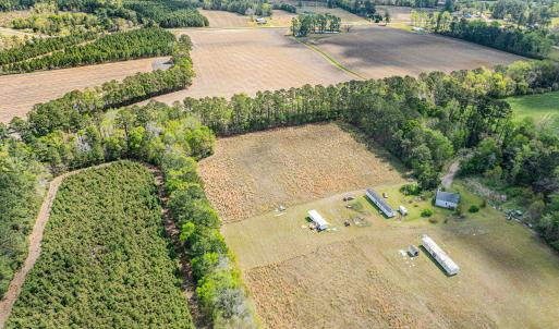 Photo #3 of 6.5 Acres Christine Pl., Hemingway, SC 6.5 acres