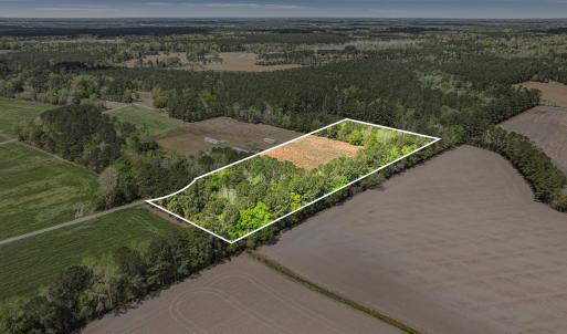 Photo #15 of 6.5 Acres Christine Pl., Hemingway, SC 6.5 acres