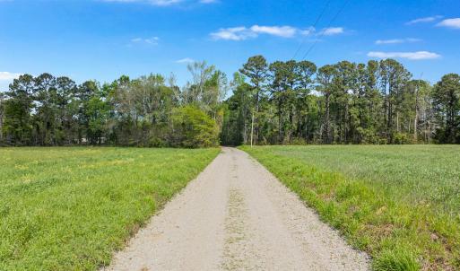 Photo #2 of 6.5 Acres Christine Pl., Hemingway, SC 6.5 acres