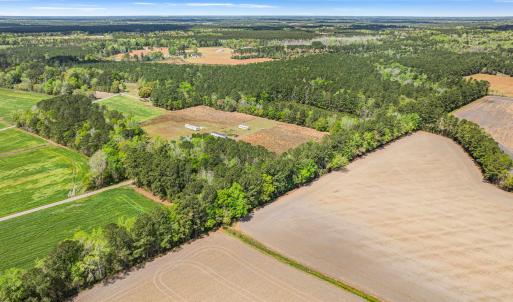 Photo #6 of 6.5 Acres Christine Pl., Hemingway, SC 6.5 acres