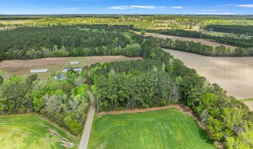 Photo #13 of 6.5 Acres Christine Pl., Hemingway, SC 6.5 acres