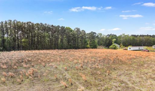 Photo #12 of 6.5 Acres Christine Pl., Hemingway, SC 6.5 acres