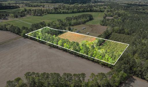 Photo #16 of 6.5 Acres Christine Pl., Hemingway, SC 6.5 acres