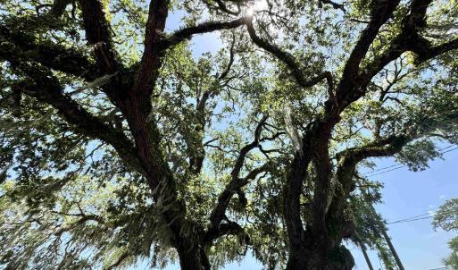 Photo #16 of 1677 Carriage Ln., Little River, SC 0.3 acres