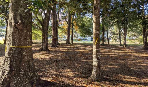 Photo #1 of 31 Gasparilla Circle, Murrells Inlet, SC 0.3 acres
