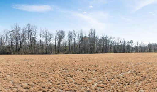 Photo #2 of Lot 3 Sheila Dr., Johnsonville, SC 9.8 acres