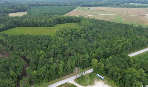 Photo #2 of TBD Fries Bay Rd., Loris, SC 13.5 acres