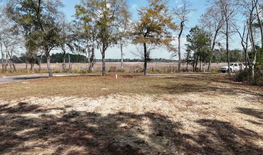 Photo #4 of 134 Middle Square Ln., Georgetown, SC 0.1 acres