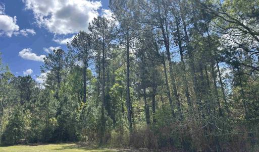 Photo #2 of TBD Georgetown Hwy., Andrews, SC 39.0 acres