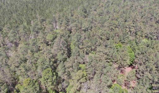 Photo #8 of TBD Georgetown Hwy., Andrews, SC 39.0 acres