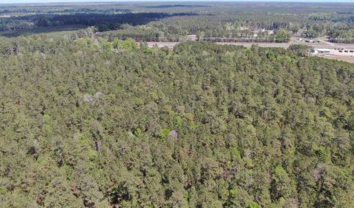 Photo #13 of TBD Georgetown Hwy., Andrews, SC 39.0 acres