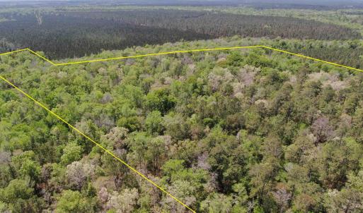 Photo #4 of TBD Georgetown Hwy., Andrews, SC 39.0 acres