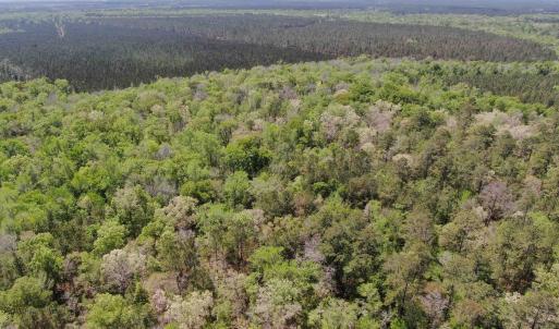 Photo #12 of TBD Georgetown Hwy., Andrews, SC 39.0 acres