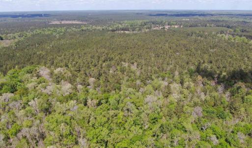 Photo #5 of TBD Georgetown Hwy., Andrews, SC 39.0 acres