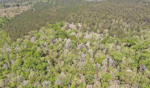 Photo #6 of TBD Georgetown Hwy., Andrews, SC 39.0 acres