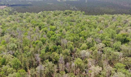Photo #11 of TBD Georgetown Hwy., Andrews, SC 39.0 acres