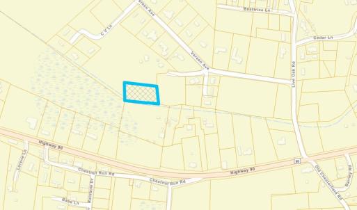 Photo #3 of TBD Vereen Ave., Longs, SC 1.0 acres
